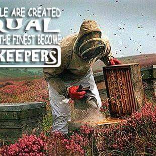 FB_IMG_1614548597100