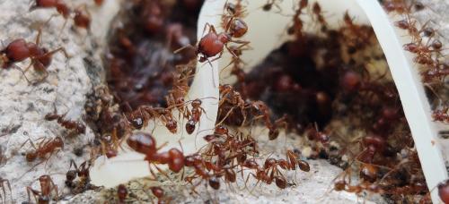 IMG_20220106_140900