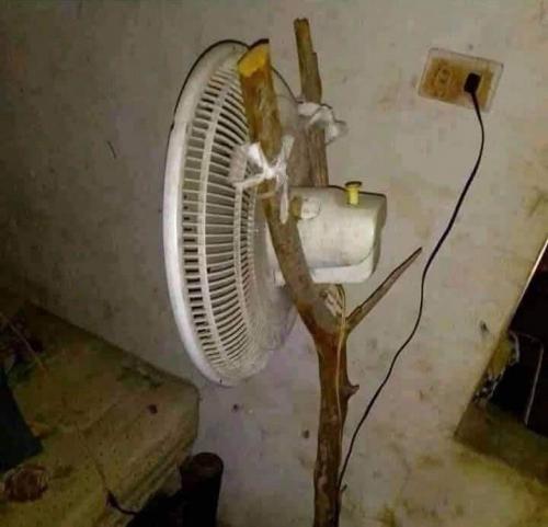 FB_IMG_1641090603157