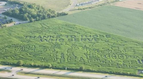 DundeeCornMaze