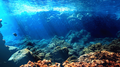 pacific ocean