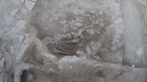 Turkish Flood skeleton
