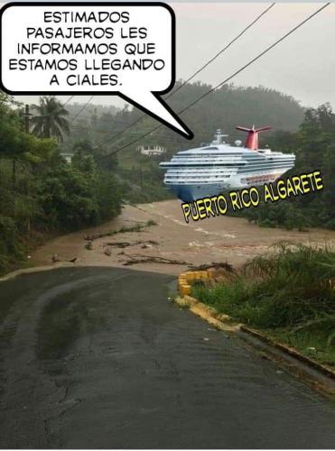 FB_IMG_1644381793143