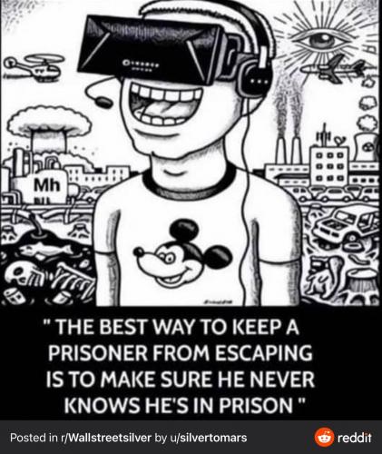 3da2d7a5902fc9e8