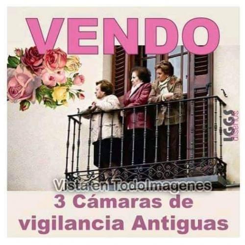 FB_IMG_1644111396182