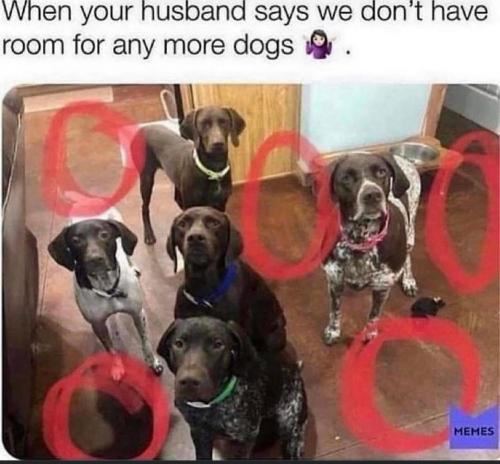 277175062_130378349560908_4630957094326137642_n