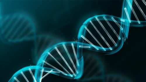 dna
