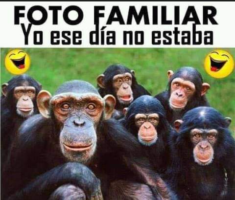 FB_IMG_1646553436002