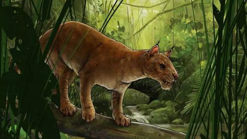 hypercarnivore