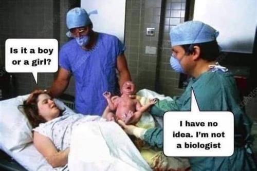 FB_IMG_1648571965914