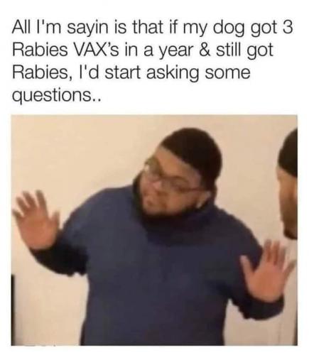 Vax logic