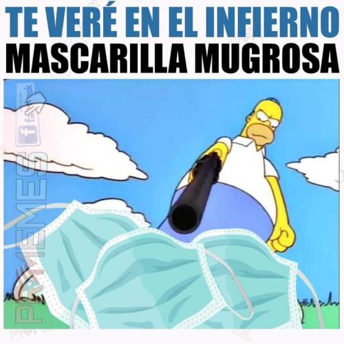 FB_IMG_1646764945416