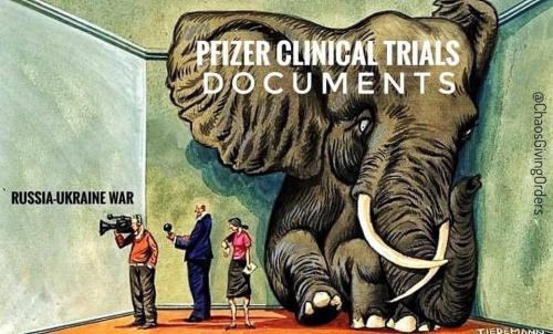 clinical-trial