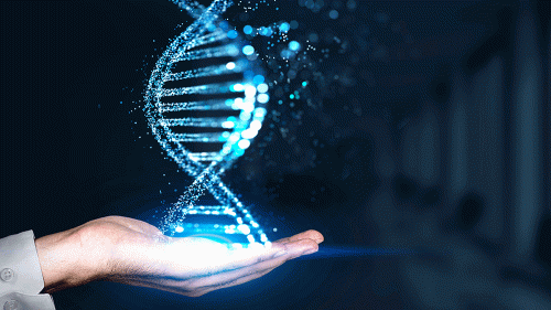 completionhumangenome