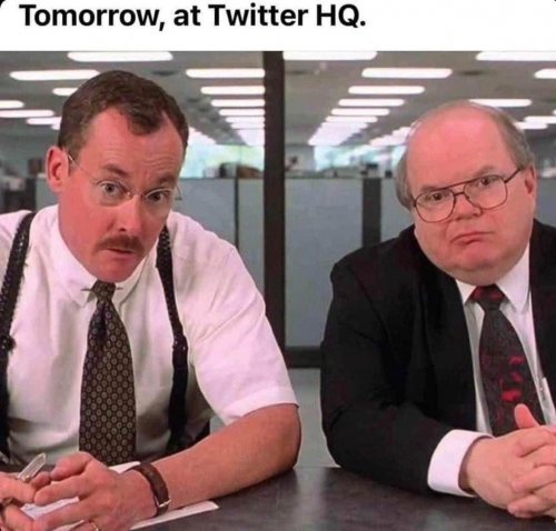 thebobs