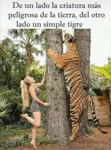 FB_IMG_1651009321428