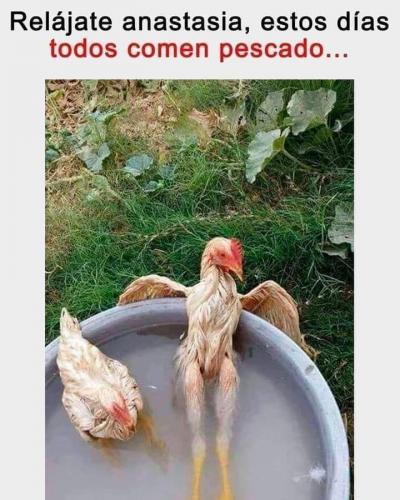 FB_IMG_1649212008160