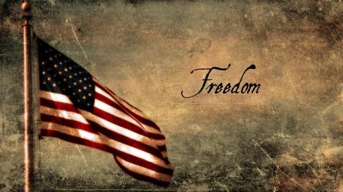 usa flag