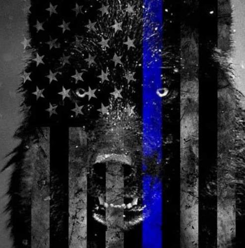 _BlueK9_125