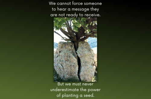 PowerOfASeed_Rock