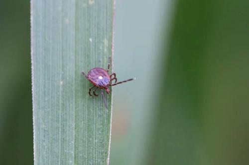 IMG_20220521_223224_588