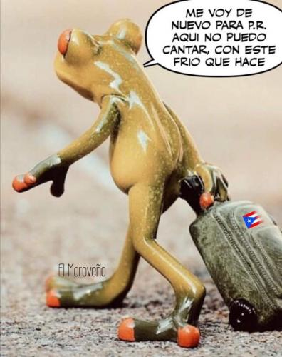 FB_IMG_1652322773341