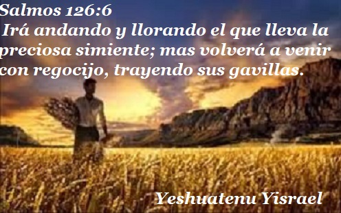 salmo 126 6