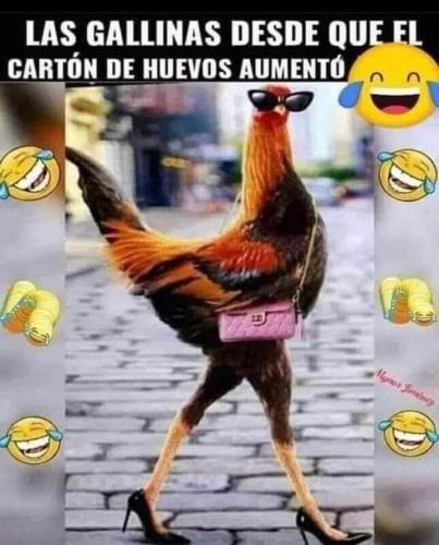 FB_IMG_1651975373588