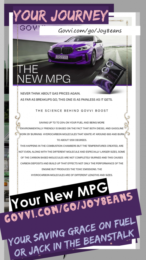 IMG_3184.PNG
