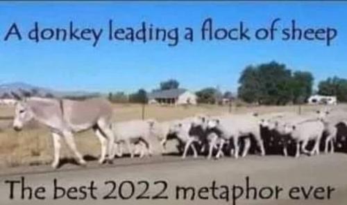 290143252_162361816355292_8346024831604006059_n