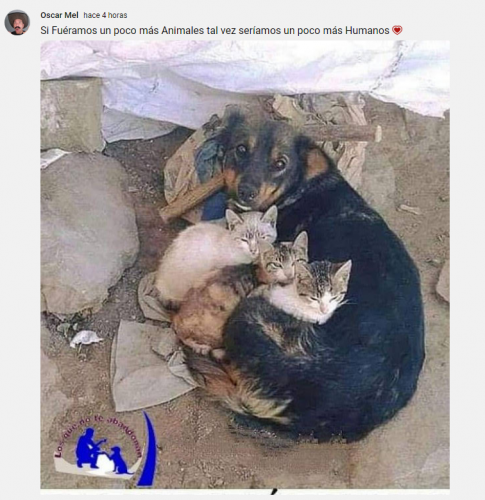 Untfhjytkiitled