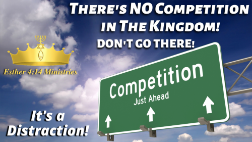 There's NO Competition Between Sisters in The Kingdom!