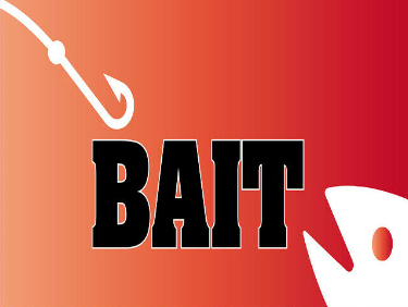 Bait