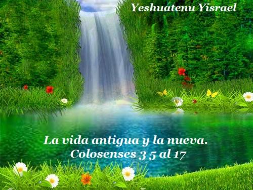 Colosense 3 5 al 17