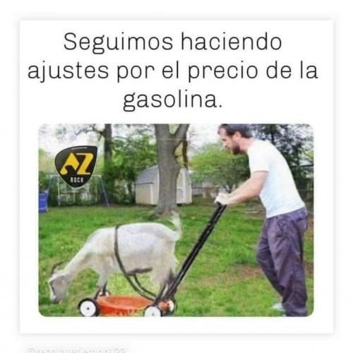 FB_IMG_1654801483757
