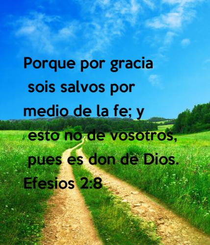 porque-por-gracia-sois-salvos-por-medio-de-la-fe-y-esto-no-de-vosotros-pues-es-don-de-dios-efesios-2-8