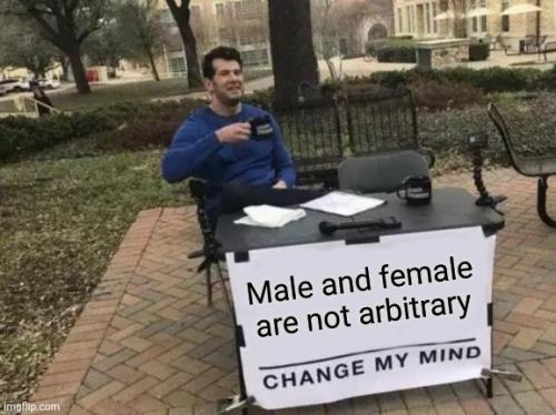 6nkq6n