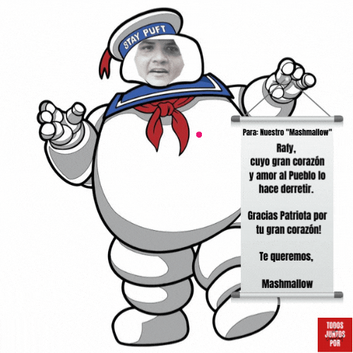 Partido Conservador Estadista