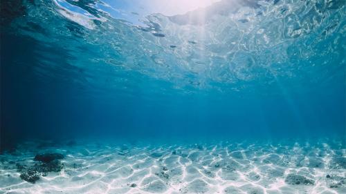 aocean-bottom-1000x563