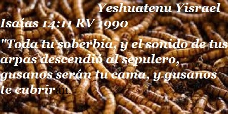 gusanos seran tu cama.