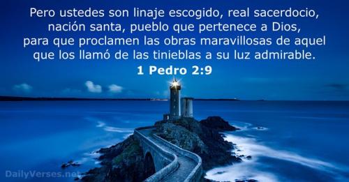 1-pedro-2-9