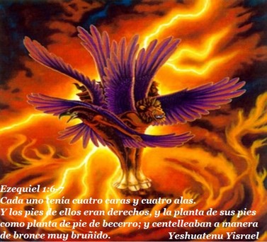 los 4 seres 2