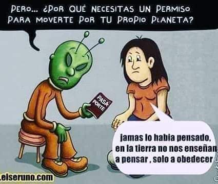 FB_IMG_1660767490252