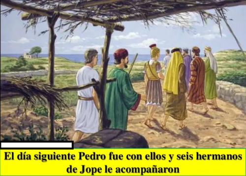 hechos 11