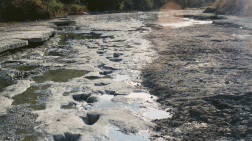 paluxytracks-1000x563