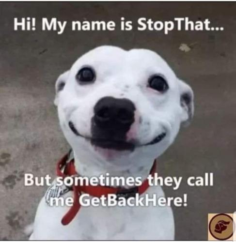 308518990_865974961447987_1604638729610351709_n