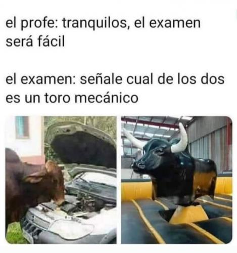 FB_IMG_1662489777058