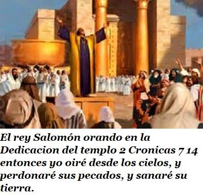 7 pasos