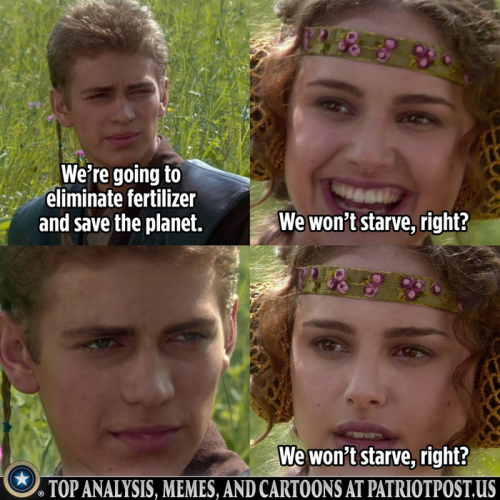 e9ef6d3ea86e8627