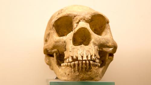 aaabreaking-news-humans-procreated-with-humans-1000x563